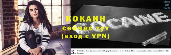 прущий лед Инсар