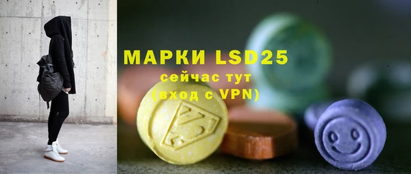 прущий лед Инсар