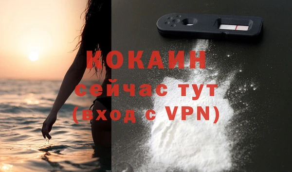 прущий лед Инсар