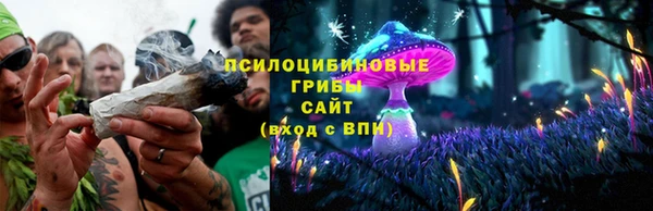 мяу мяу кристалл Иннополис